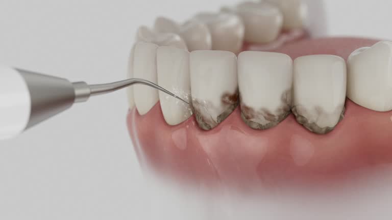 Reliable Dental contractor in Otsego County County, MI by Dentist Open Now